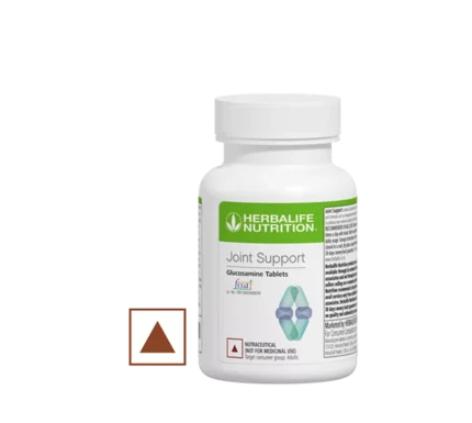 Joint Support